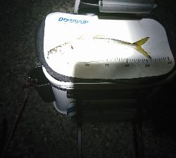 newタックルの入魂式