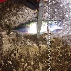 アジゲームでまさかの･・・