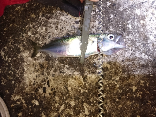 アジゲームでまさかの･・・