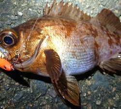 年末天気が荒れる前に