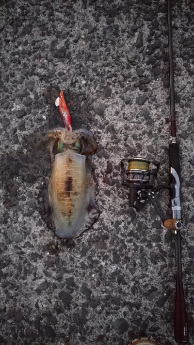 出張でちょいエキング