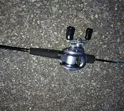 早朝フィッシング