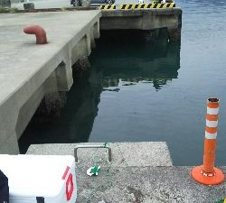 少しずつ大きくなってきた!