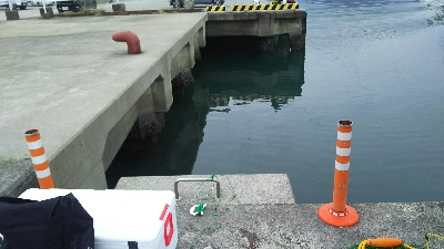 少しずつ大きくなってきた！