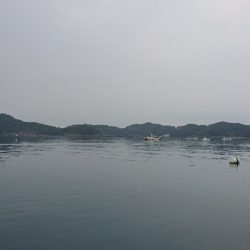 野見漁港チョイ投げ