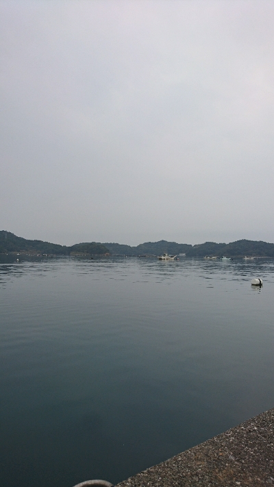 野見漁港チョイ投げ