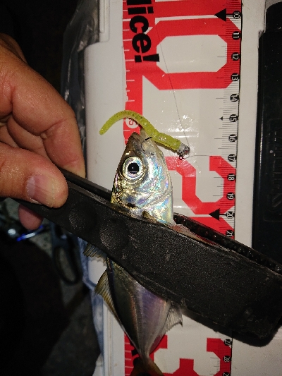 ジグ単は、楽しい