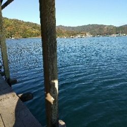 初の釣り筏（高橋渡船さんにて）