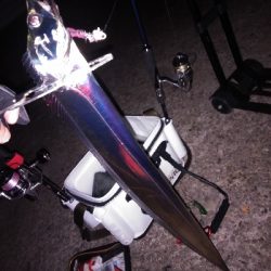 今季初のつ抜け