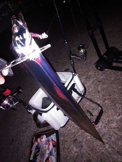 今季初のつ抜け