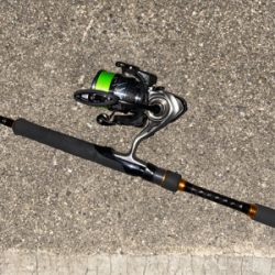 試し釣りでゲット!