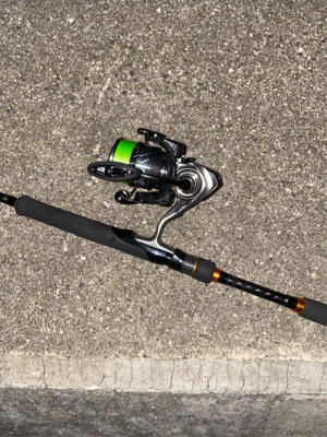 試し釣りでゲット!