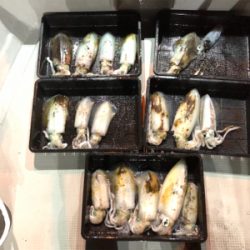 大阪湾オーシャンズのテップラン4時間便