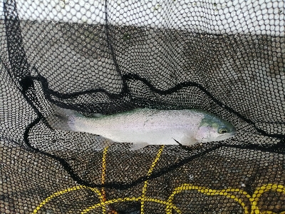 岸和田フィッシングパーク