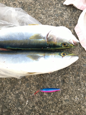 ショアジギング