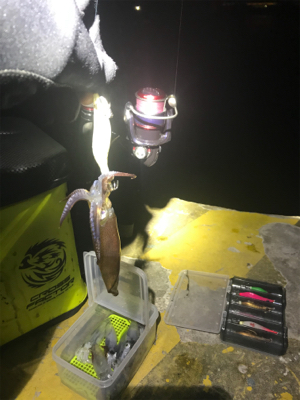 厳しいヒイカ釣り(＞＜)