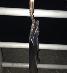 ボチボチです。