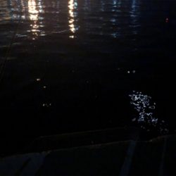 たまには大阪エリアで…。