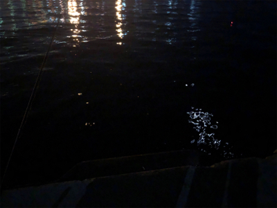 たまには大阪エリアで…。