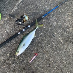 めちゃくちゃ楽しかった!ショアジギング