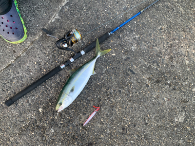 めちゃくちゃ楽しかった!ショアジギング