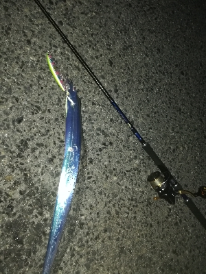 セットアッパー