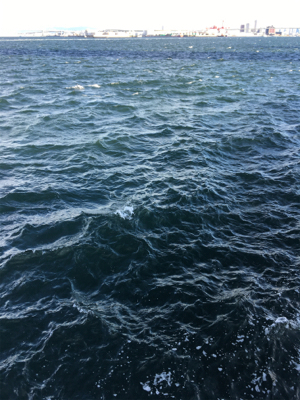 太刀魚、朝マヅメの15分時合。。。