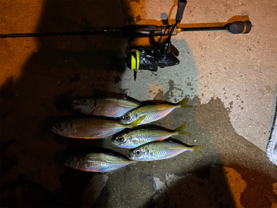 ランガンアジング！？