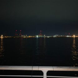 久しぶりに爆釣