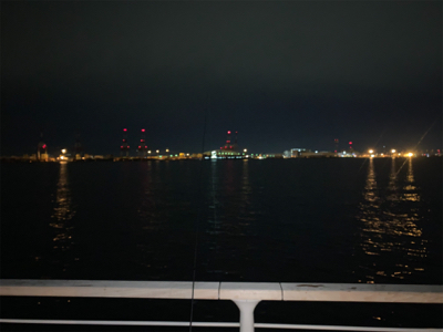 久しぶりに爆釣