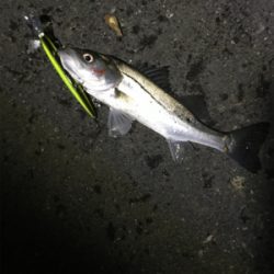 いつもと違う場所で