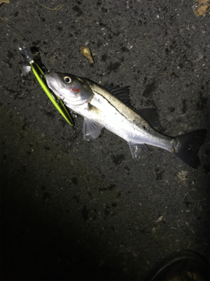 いつもと違う場所で