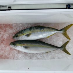 リタックルさんにて