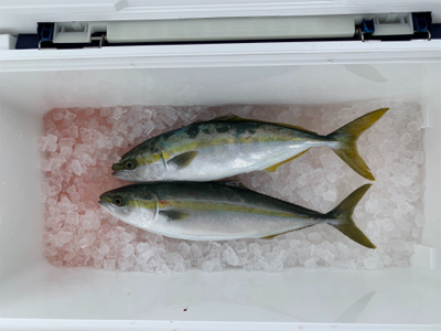 リタックルさんにて