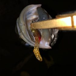 少ないチャンスをものに