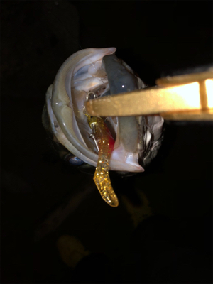 少ないチャンスをものに