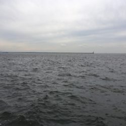 初ポイント。南港→海釣り公園。