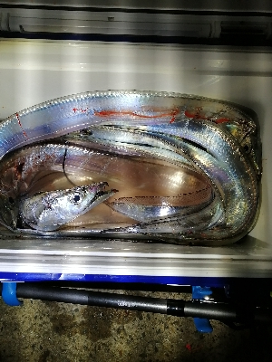 アタリは多いけど…