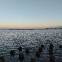 朝まづめにワームで