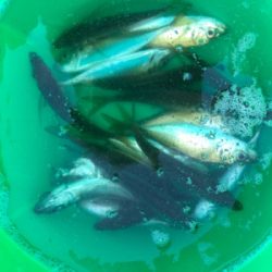 今週も来ました❗️