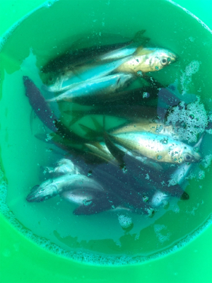 今週も来ました❗࿠…