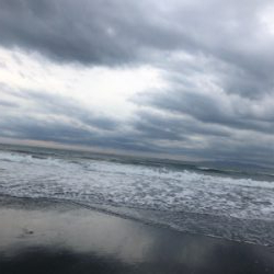 ヒラメ45センチ