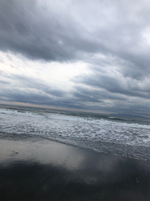 ヒラメ45センチ