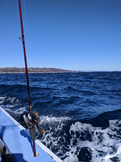 ロックフィッシュ