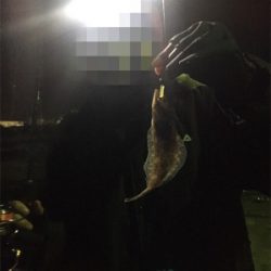 ライトゲームに移行です