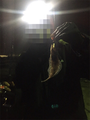 ライトゲームに移行です