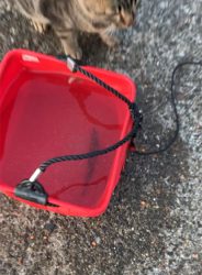 親子で紀州釣り