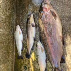 栃木総合運動場プール