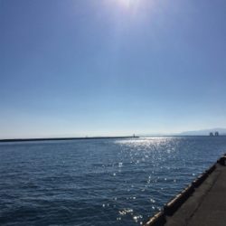 ライトショアジギング