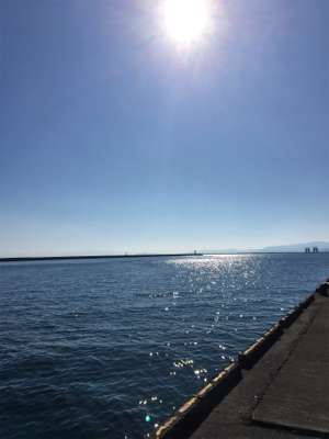 ライトショアジギング